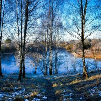 Прохладное ноябрьское утро. :: Милешкин Владимир Алексеевич 