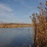 **** :: Виктор 