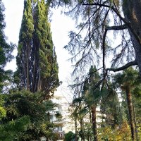 Ривьера :: Tata Wolf