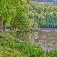 Пруд ... :: Jakob Dick