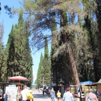 Пицунда :: Serega SchütZ