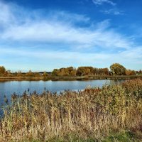 б/н :: Николай б/н :: Николай