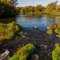 ** :: Виталий Емельянов