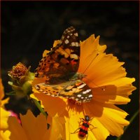 """ :: Александр 