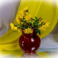 Хризантемы :: Людмила Павловна Крышковец