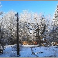 Репетиция зимы на даче :: Ольга Довженко Репетиция зимы на даче :: Ольга Довженко