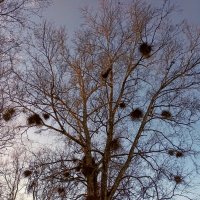 Прогулка по парку Кадриорг :: Veera V Прогулка по парку Кадриорг :: Veera V