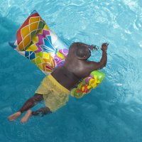 "Из тени в свет" переплывая :: Владимир Шишкин