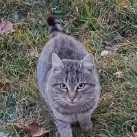 Тимофей :: Любовь Сахарова Тимофей :: Любовь Сахарова