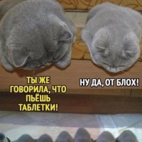 Ты же сказала... :) :: Валерий Кокорев