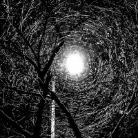 Путеводная звезда :: Валерий Иванович