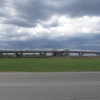 ............. :: Елена Шаламова