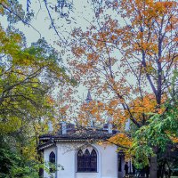 В парке :: Варвара