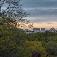 Снимок с лестницы  любви :: Валентин Семчишин