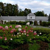 ПУШКИНСКИЕ ГОРЫ. :: Виктор Осипчук