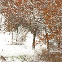 Ещё поднавалило сегодня ночью... :: Юрий Куликов