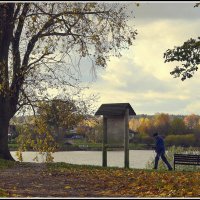 *** :: Aleksandr Gal