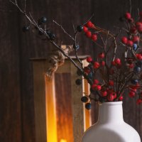 *** :: Яна Горбунова