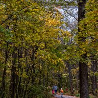 Осень... :: Сергей Шатохин Осень... :: Сергей Шатохин