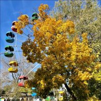 Осень в городе! :: Надежда Осень в городе! :: Надежда