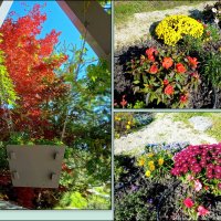 Адлер. Скайпарк :: Нина Бутко