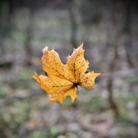 Между небом и землей… :: Любовь 