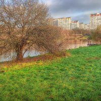 20 ноября :: Наталья Лакомова