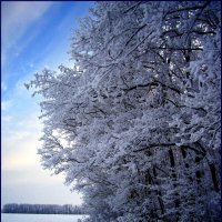 Утро. :: Александр 