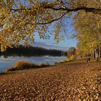 „Бродит женщина-осень по аллеям багряным, Где опавшие листья пахнут прелым и пряным..." :: Галина 