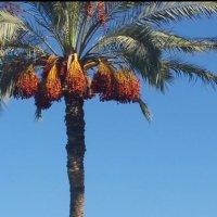 114 (147) :: CLOSE WAYS ALL