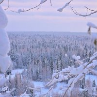 - :: Владимир Мигонькин