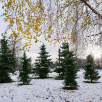 Картинки ноября :: Мария Васильева