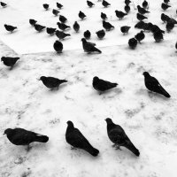 Фотография :: Денис Безногов