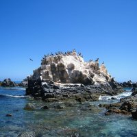 На Тихом океане. :: unix (Илья Утропов)