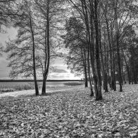 ОСЕНЬ :: Николай ОСЕНЬ :: Николай