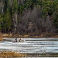 По осенней Чепце :: Валентин Котляров