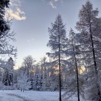 Зима :: Сапсан 