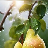 Ещё один кадр урожая 2025 -го :: Валерий Кокорев