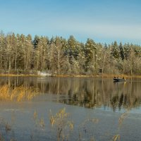 Не считая собаки. :: Николай 