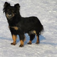 На позитиве :: Любовь Сахарова