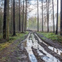 Ноябрьская распутица :: Валерий Иванович