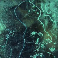 На луже :: Людмила Смородинская