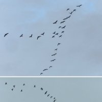 на юг :: Лера 