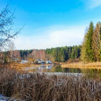 Осенний пейзаж (репортаж из поездок по области). :: Милешкин Владимир Алексеевич Осенний пейзаж (репортаж из поездок по области). :: Милешкин Владимир Алексеевич