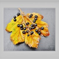 ОСЕННЕЕ... :: Elvira E. 