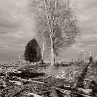 Фотография :: Денис Безногов