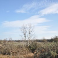 **** :: Виктор 