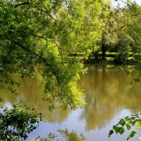 Щучий пруд :: Игорь Белоногов