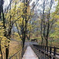 Вместе весело шагать :: Галина 