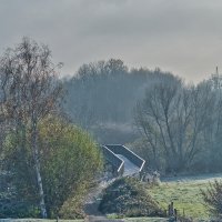 21.11.2025 Туманное утро ... :: Jakob Dick